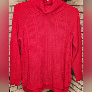 Faded Glory Sweater sz L